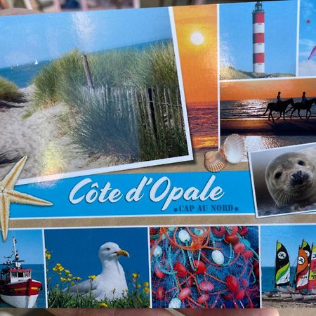 Berck Sur Mer Appartement Cosy A 50 Metres De La Plage Bagian luar foto