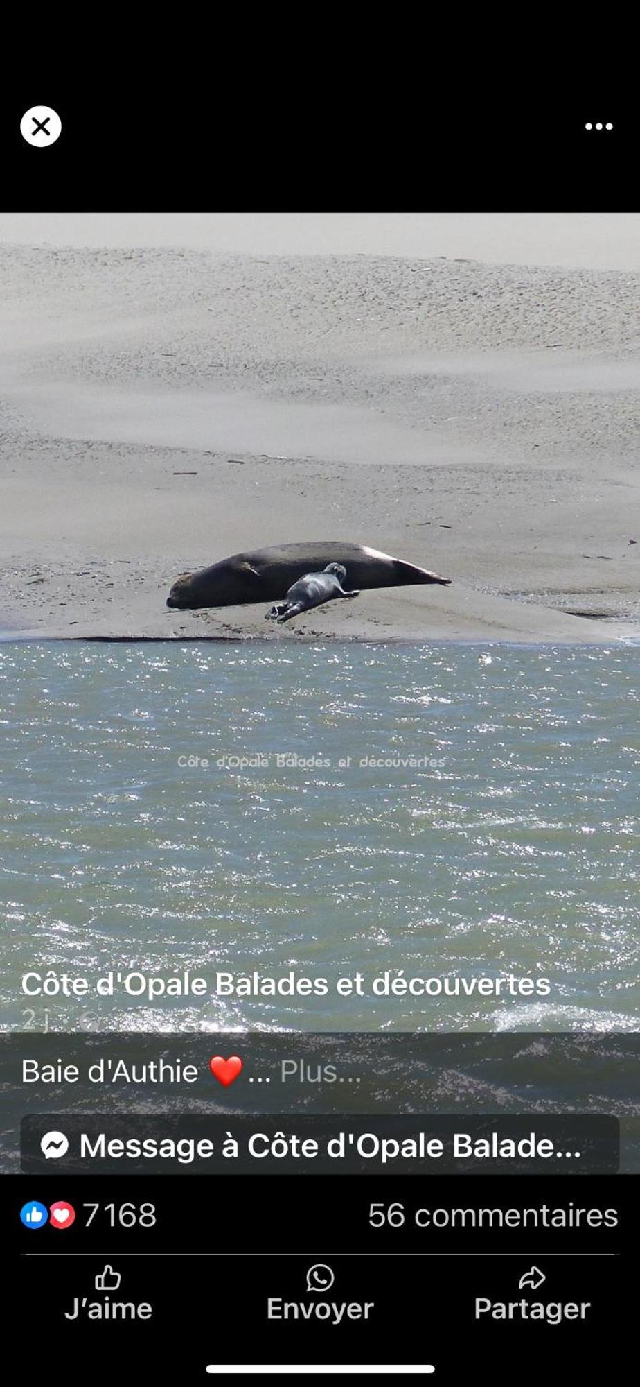 Berck Sur Mer Appartement Cosy A 50 Metres De La Plage Bagian luar foto